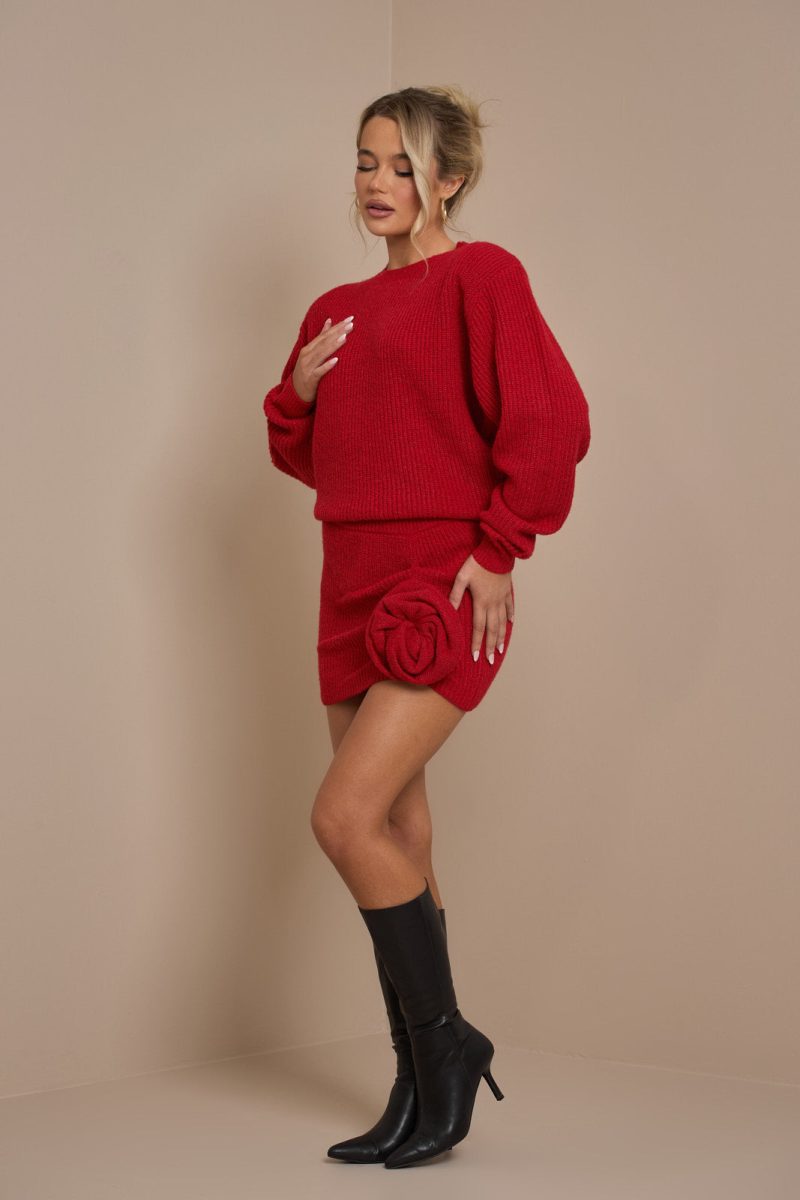 LAROSA KNIT SKIRT | ROUGE - Image 6